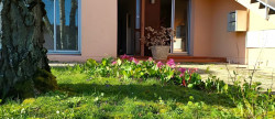 vente Appartement Albi