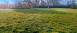 vente Terrain constructible Saint Lieux Les Lavaur