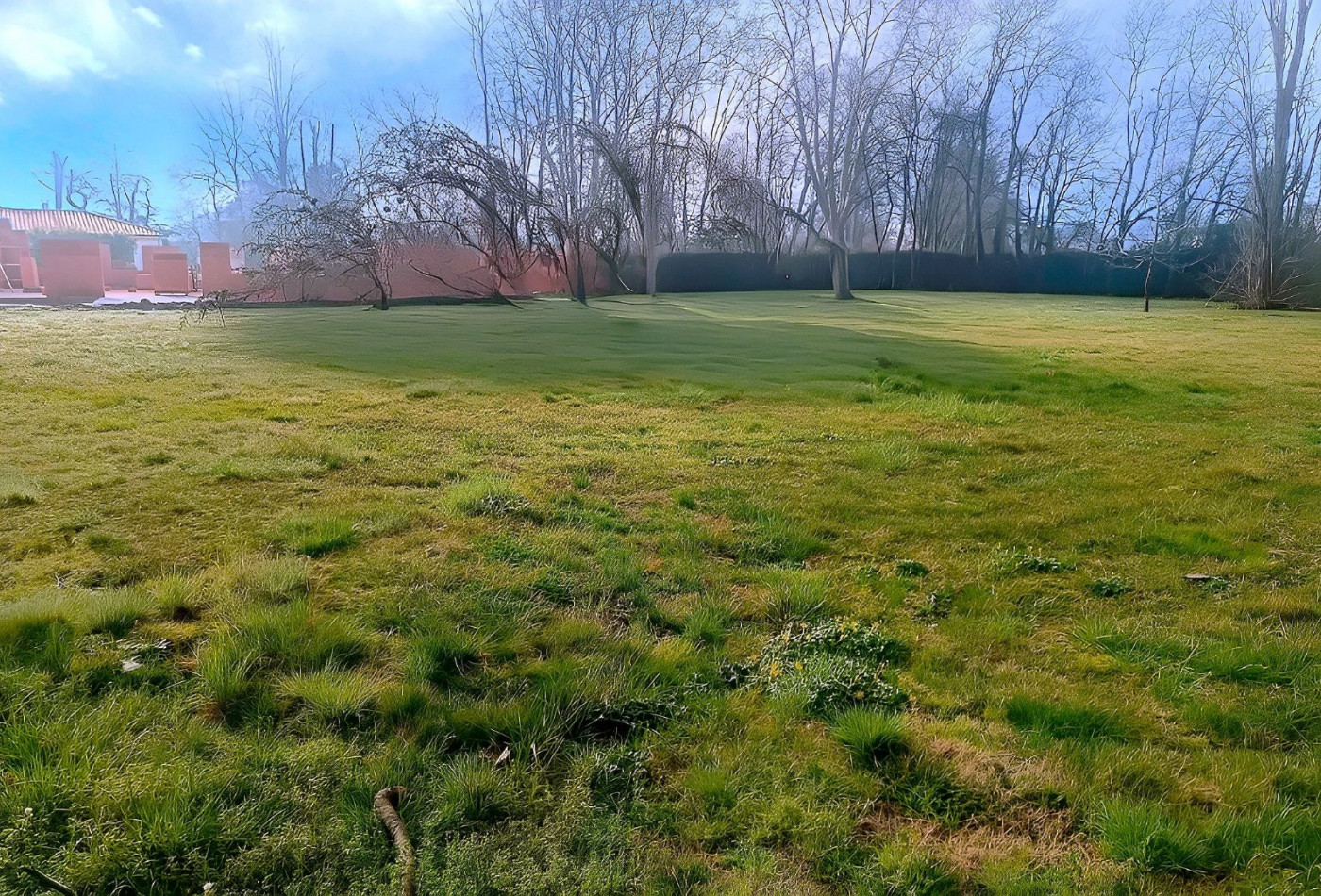 vente Terrain constructible Saint Lieux Les Lavaur - Photo 3