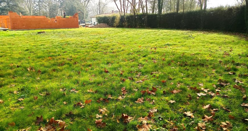 vente Terrain constructible Saint Lieux Les Lavaur