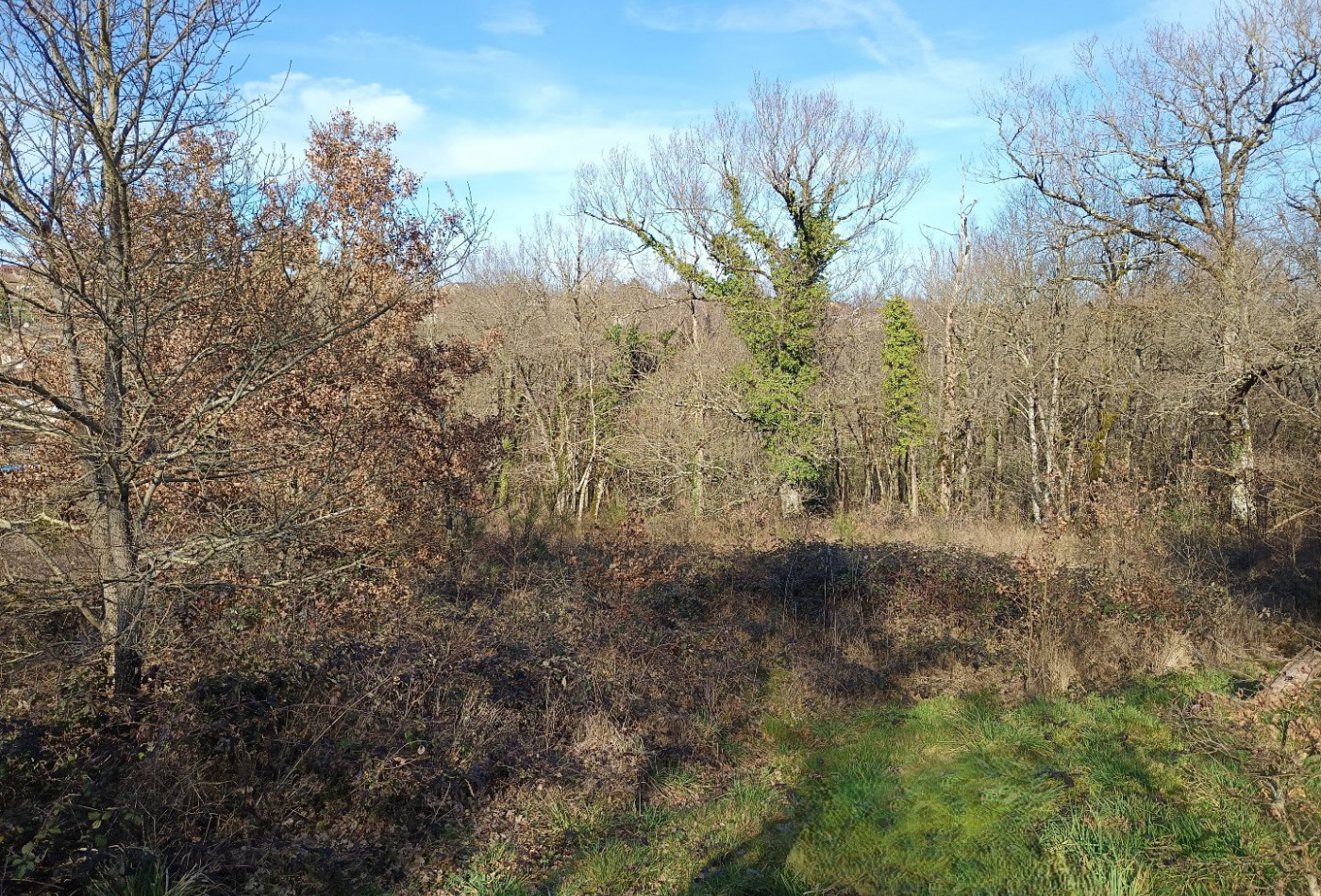 vente Terrain constructible Mirandol Bourgnounac - Photo 1