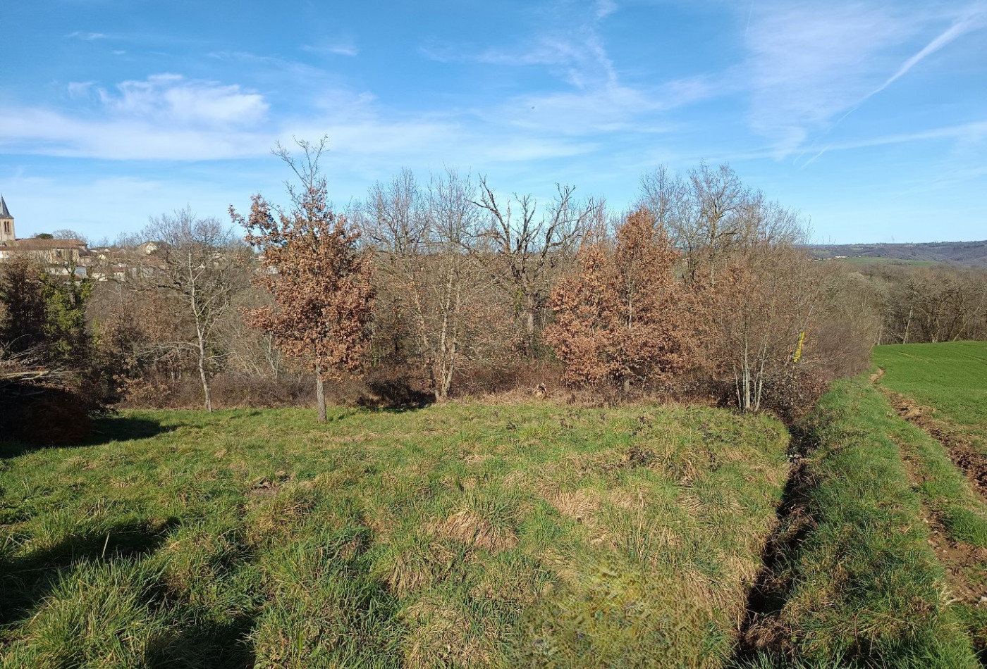 vente Terrain constructible Mirandol Bourgnounac - Photo 1