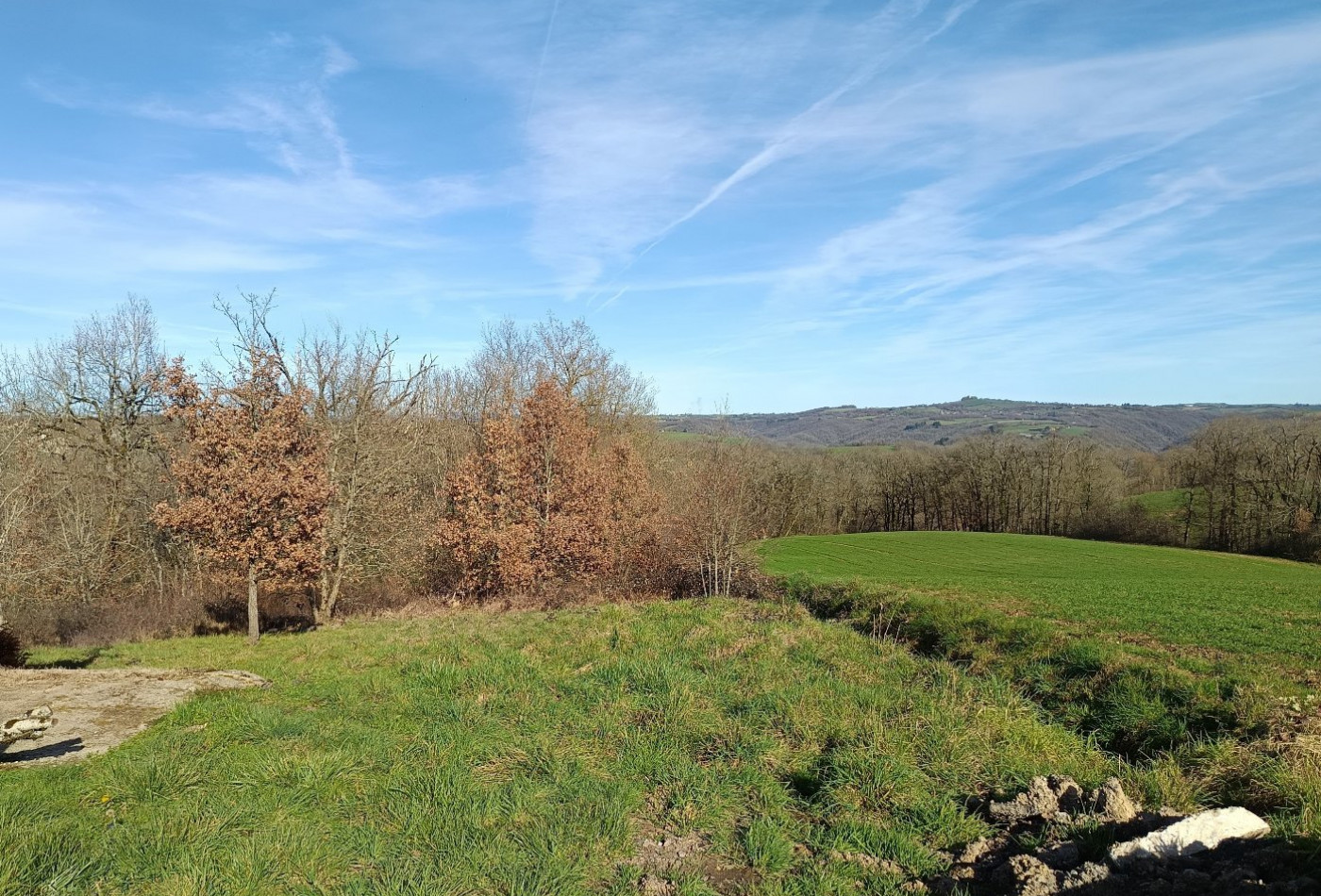 vente Terrain constructible Mirandol Bourgnounac - Photo 1