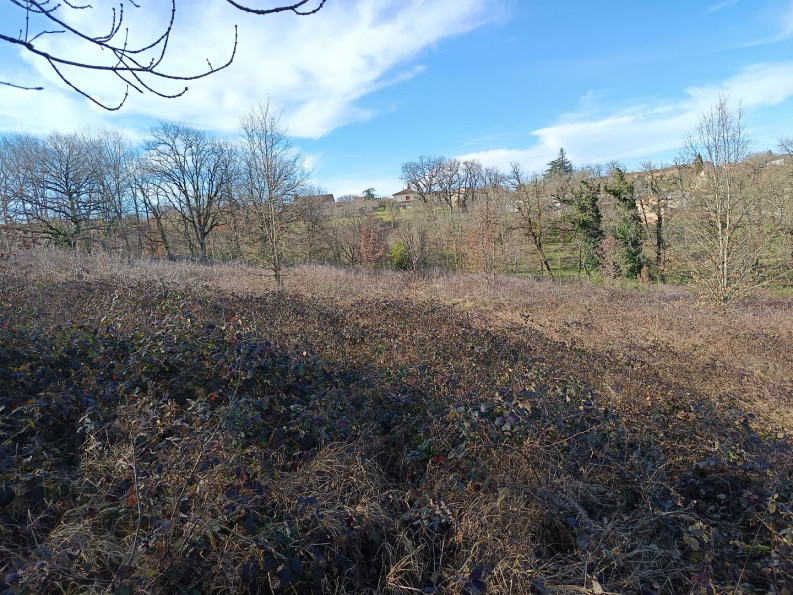 vente Terrain constructible Mirandol Bourgnounac - Photo 1