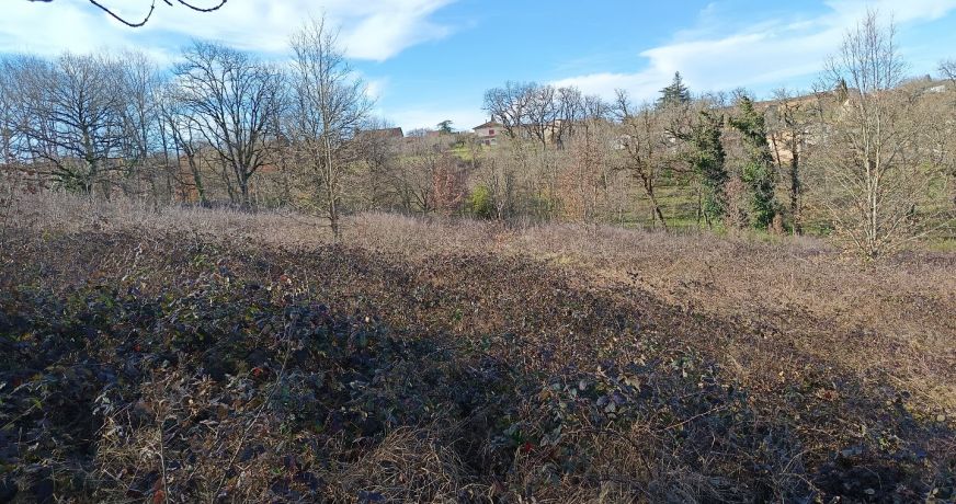 vente Terrain constructible Mirandol Bourgnounac
