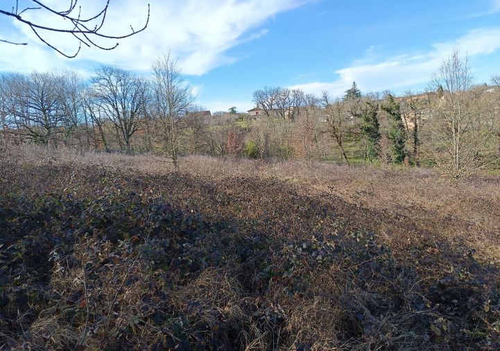 vente Terrain constructible Mirandol Bourgnounac