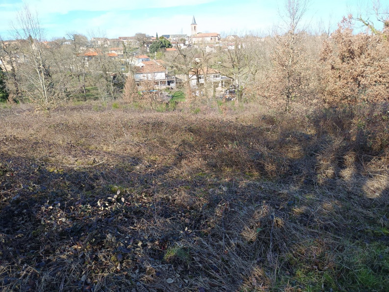 vente Terrain constructible Mirandol Bourgnounac - Photo 5