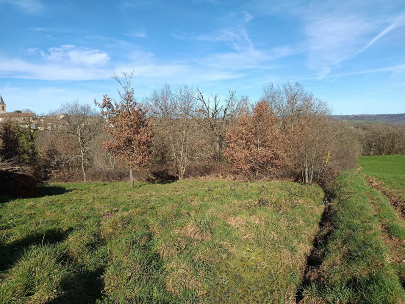 vente Terrain constructible Mirandol Bourgnounac - Photo 2