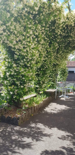 vente Maison Carmaux - Photo 17