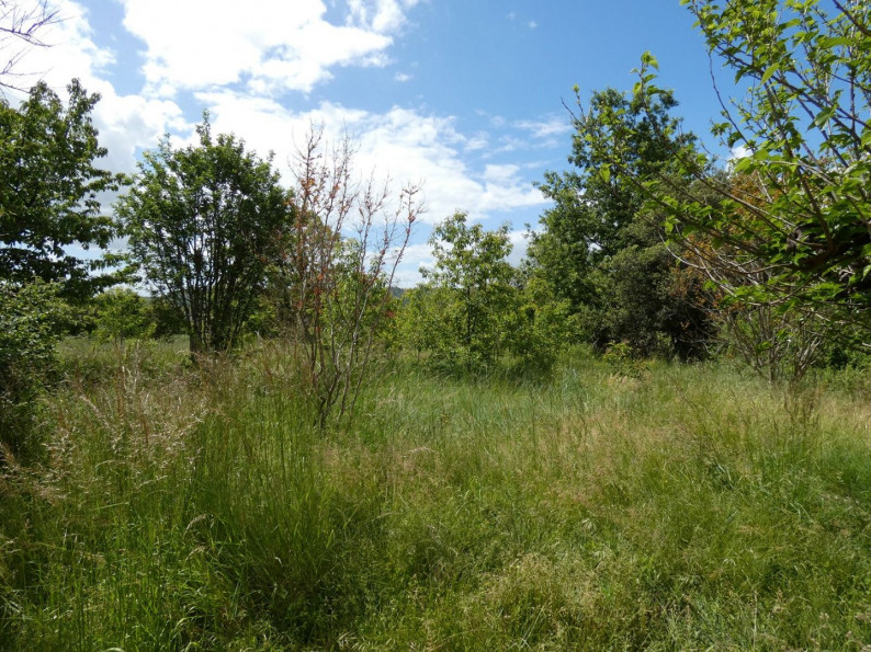 sale Terrain Albi - Photo 4