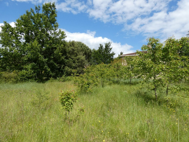 sale Terrain Albi - Photo 5