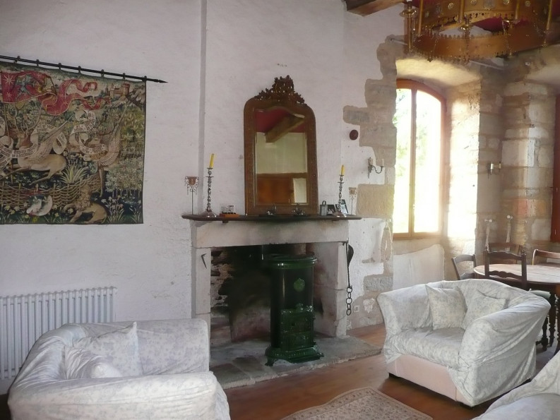 vente Château Villeneuve - Photo 8