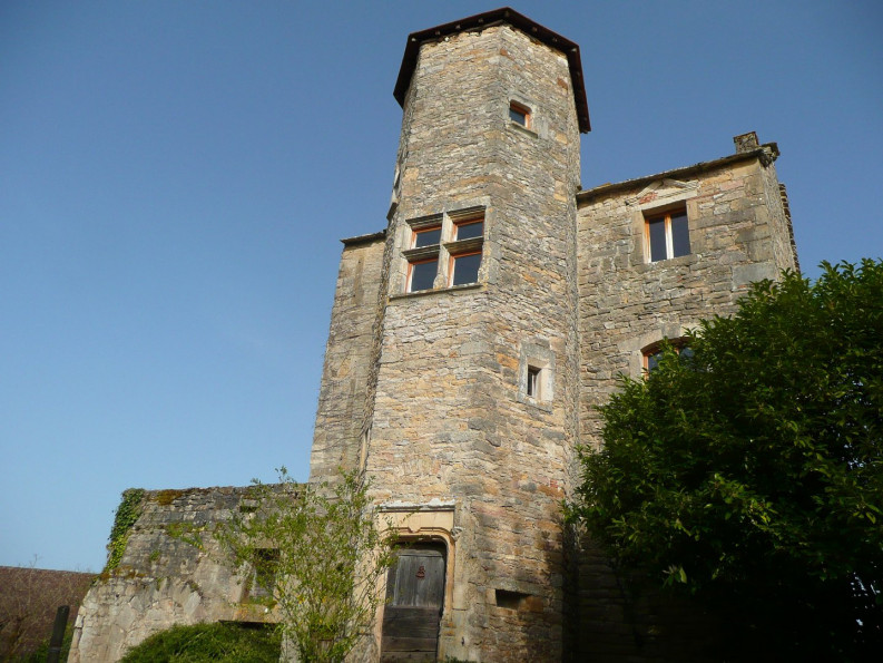 vente Château Villeneuve - Photo 1