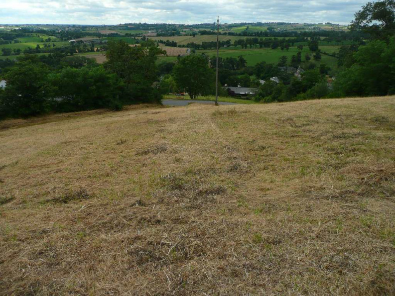 sale Terrain constructible Saint Salvadou - Photo 7