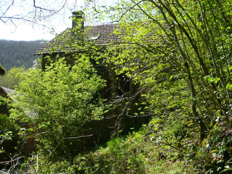 vente Maison à rénover La Salvetat Peyrales - Photo 4