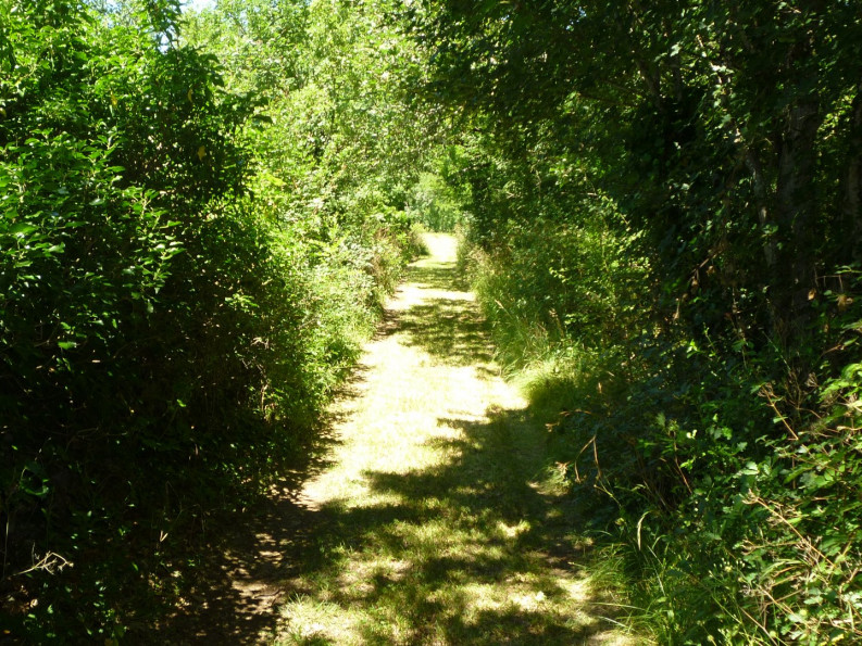 vente Maison de caractère Varaire - Photo 3