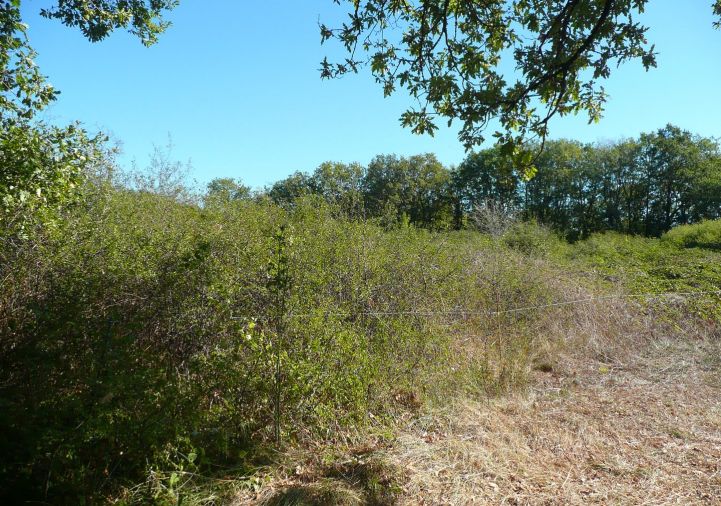 vente Terrain constructible Parisot