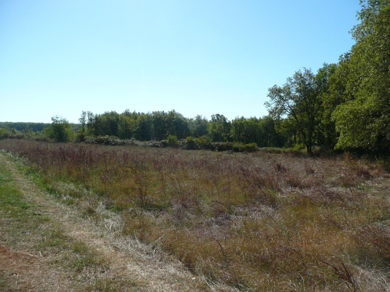 vente Terrain constructible Parisot - Photo 6