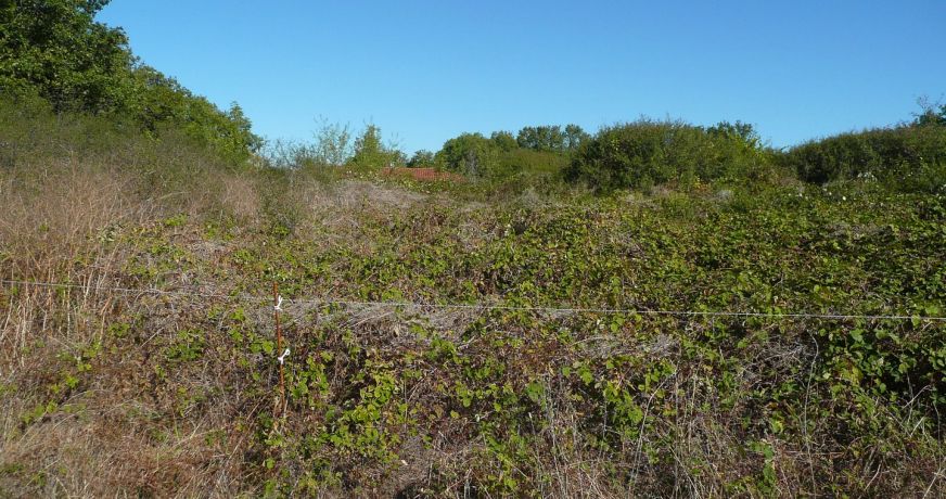 vente Terrain constructible Parisot