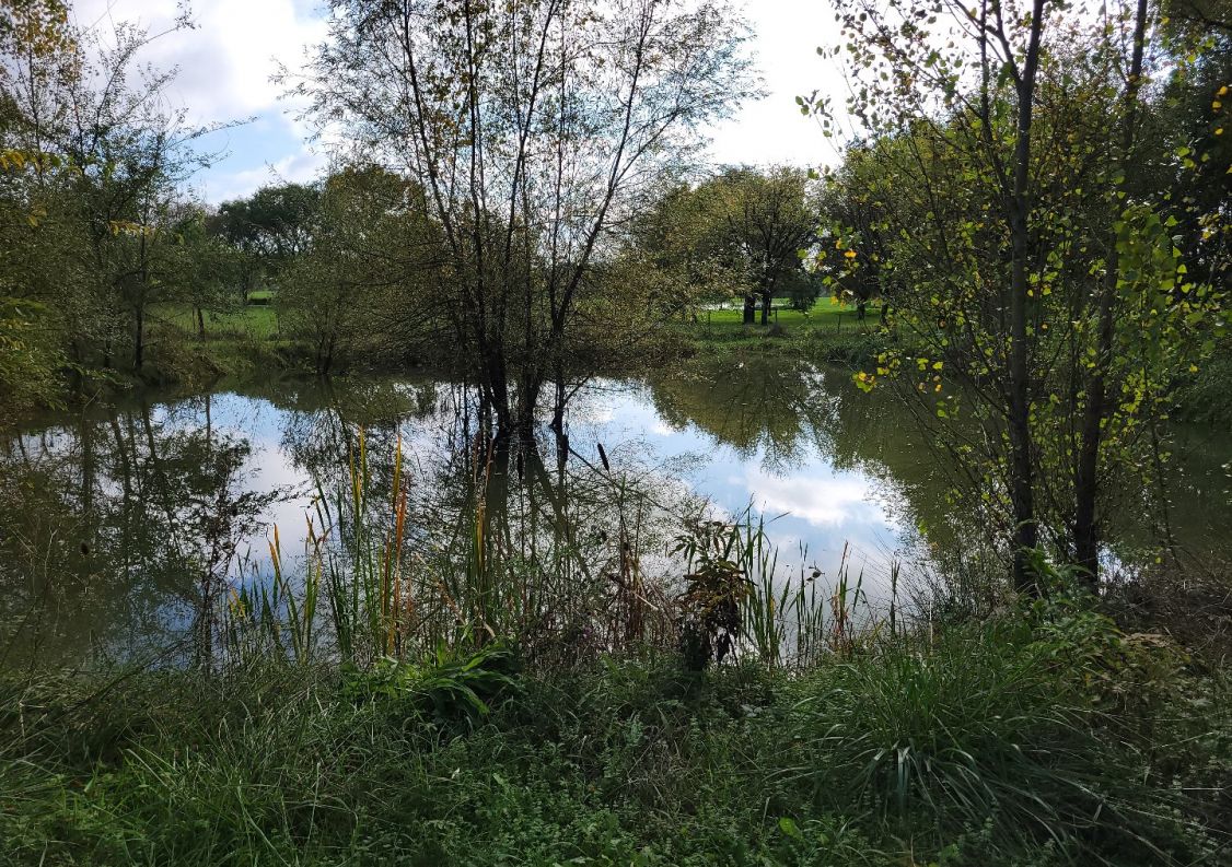 vente Manoir Causse Et Diege