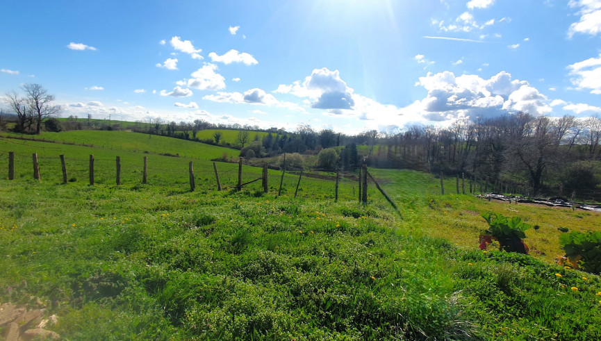 vente Grange La Salvetat Peyrales - Photo 16