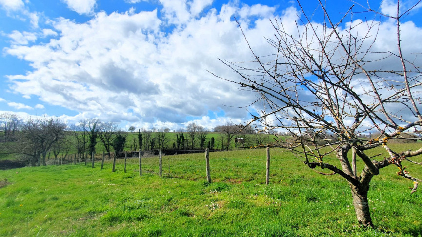 vente Grange La Salvetat Peyrales - Photo 15
