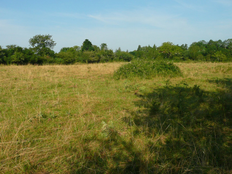 vente Terrain constructible Villefranche De Rouergue - Photo 1