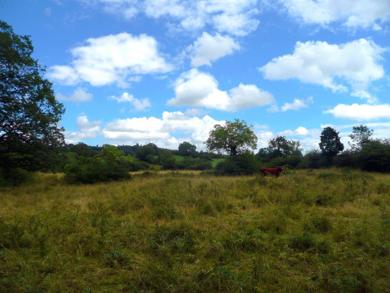 vente Terrain constructible Villefranche De Rouergue - Photo 13