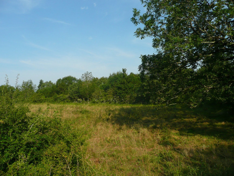 vente Terrain constructible Villefranche De Rouergue - Photo 4