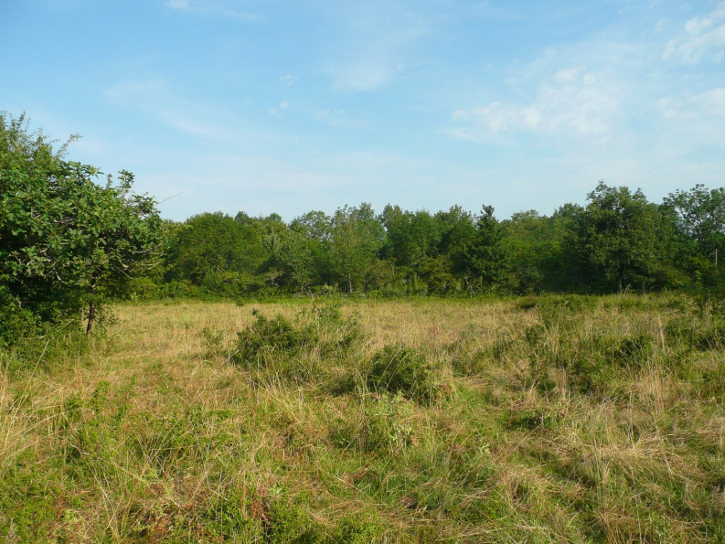 vente Terrain constructible Villefranche De Rouergue - Photo 5