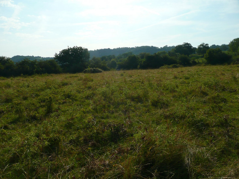 vente Terrain constructible Villefranche De Rouergue - Photo 12