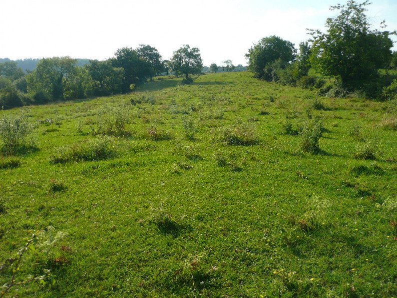 vente Terrain constructible Villefranche De Rouergue - Photo 2