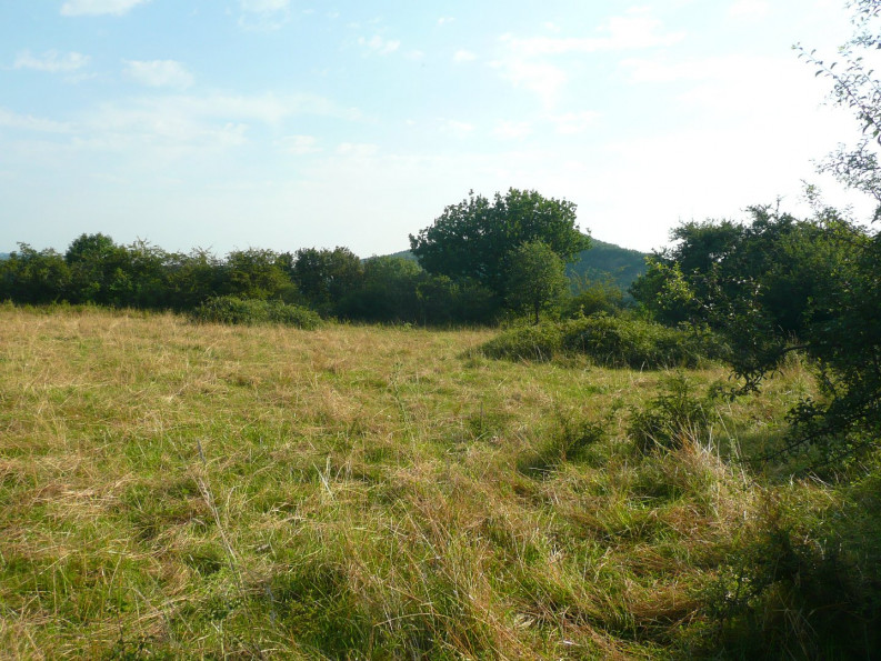 vente Terrain constructible Villefranche De Rouergue - Photo 8