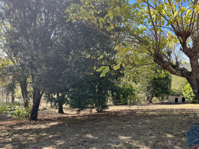 vente Maison et dépendances Puylaroque - Photo 14