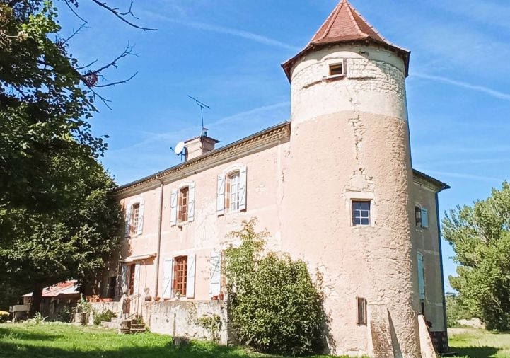 vente Manoir Castelnau De Montmiral