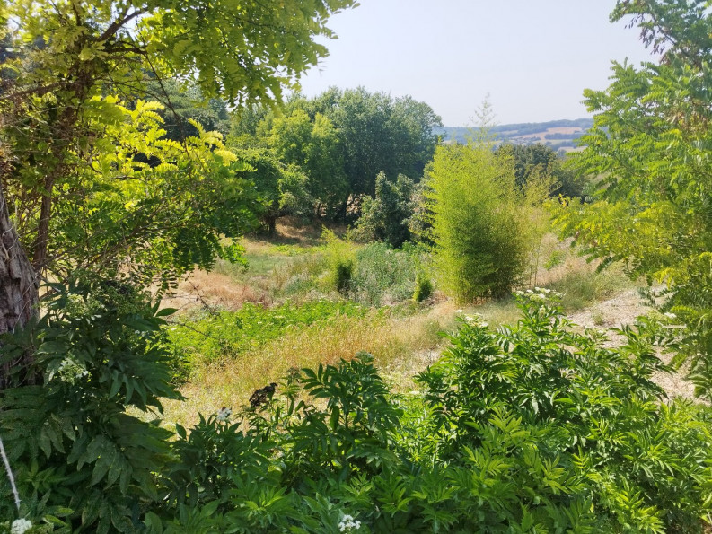 vente Maison bourgeoise Molieres - Photo 12