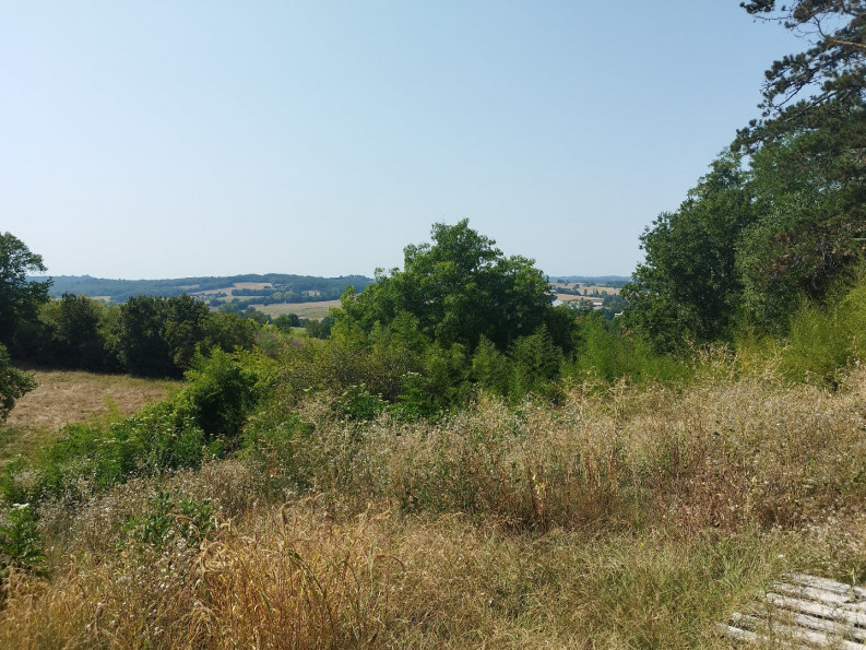 vente Maison bourgeoise Molieres - Photo 3