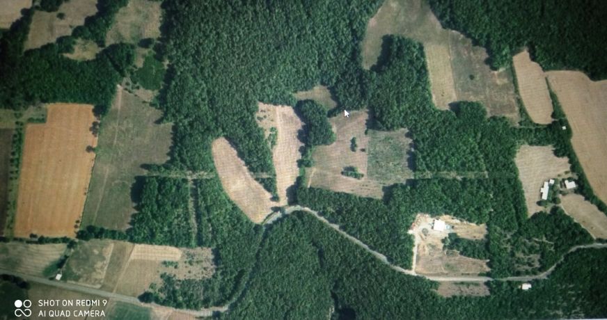 vente Terrain boisé – forêt Feneyrols