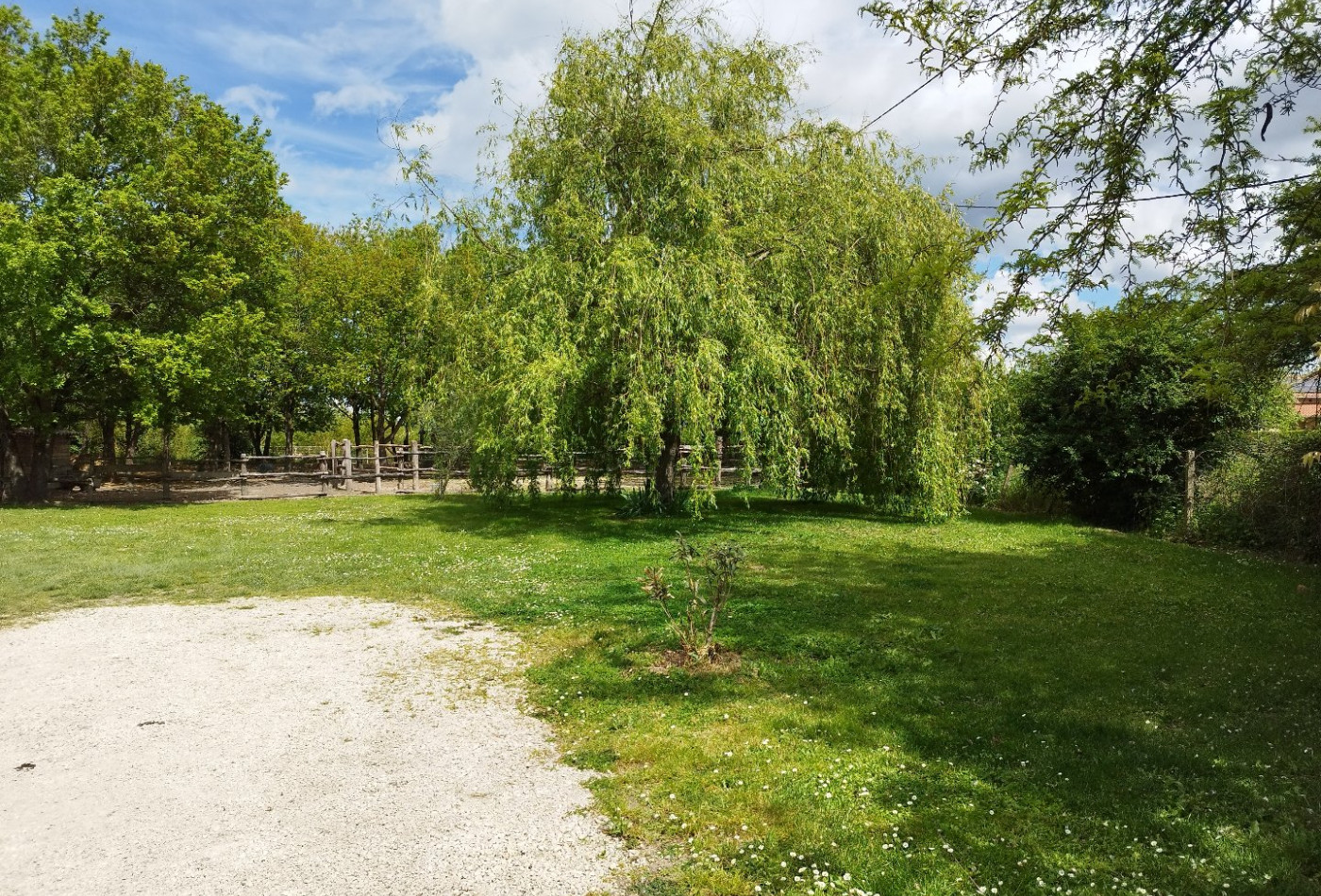 vente Maison de caractère Montauban - Photo 7