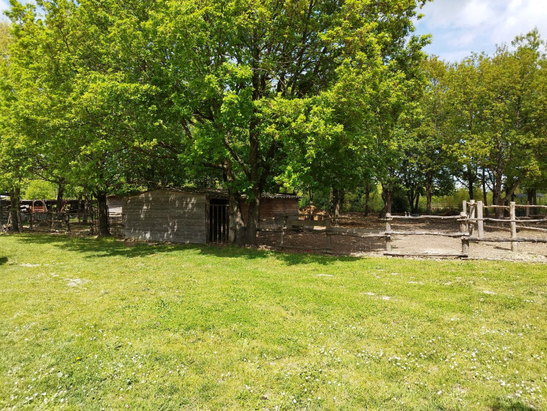 sale Maison Montauban - Photo 9