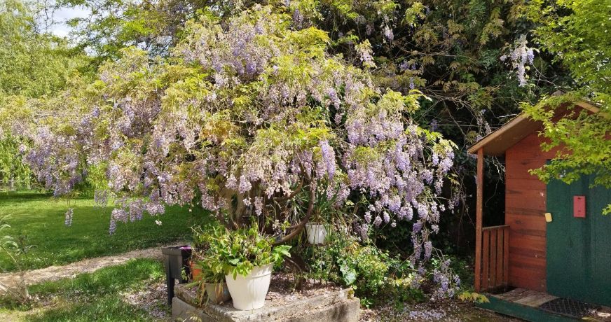 vente Maison Montauban