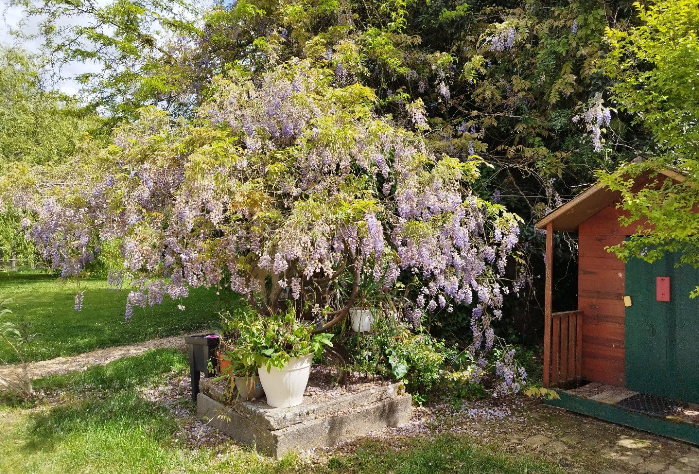 vente Maison de caractère Montauban - Photo 9