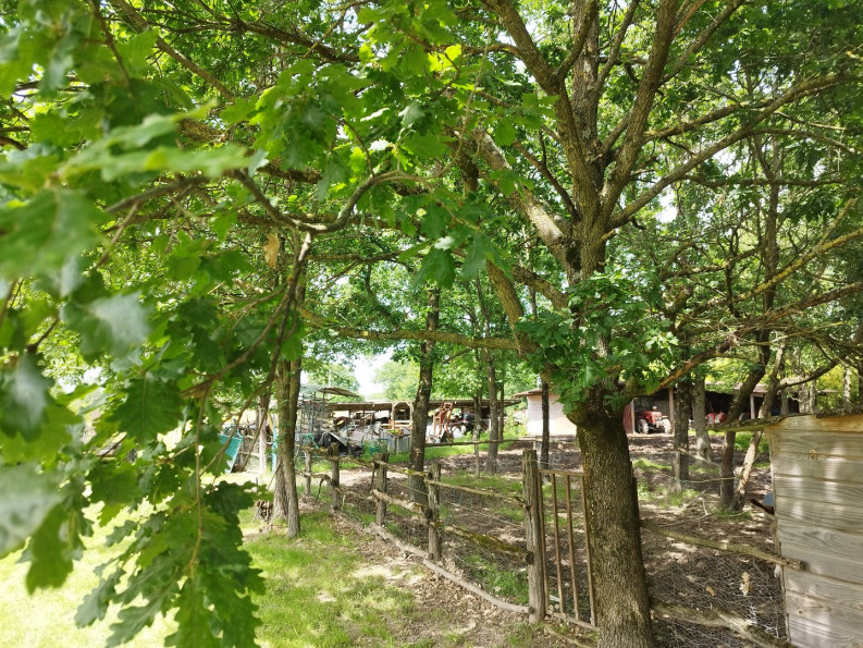 sale Propriété Montauban - Photo 14