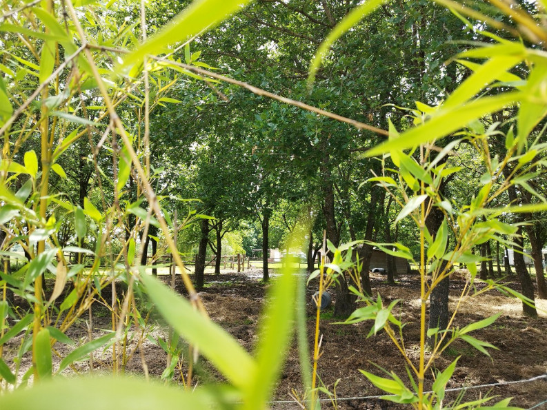 sale Propriété Montauban - Photo 17