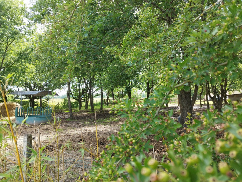 sale Propriété Montauban - Photo 3