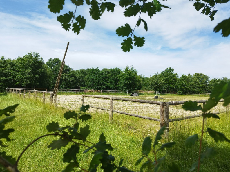 sale Propriété Montauban - Photo 18