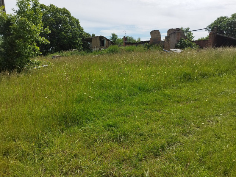 sale Propriété Montauban - Photo 6