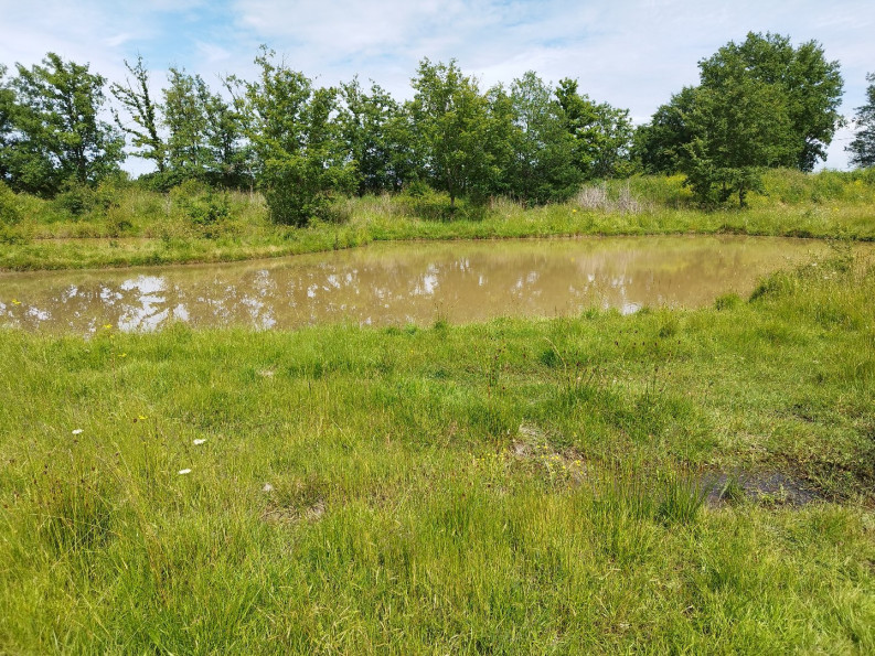 vente Propriété Montauban - Photo 6