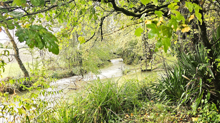 vente Maison Puylaroque - Photo 15