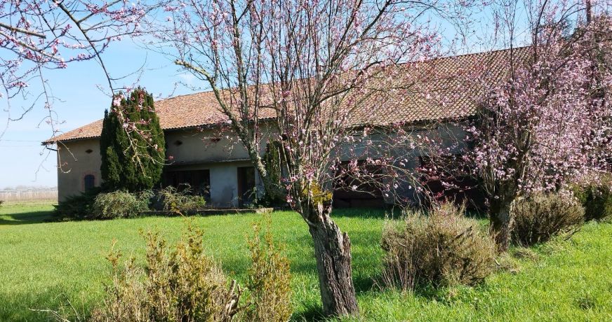 vente Maison de caractère Montauban